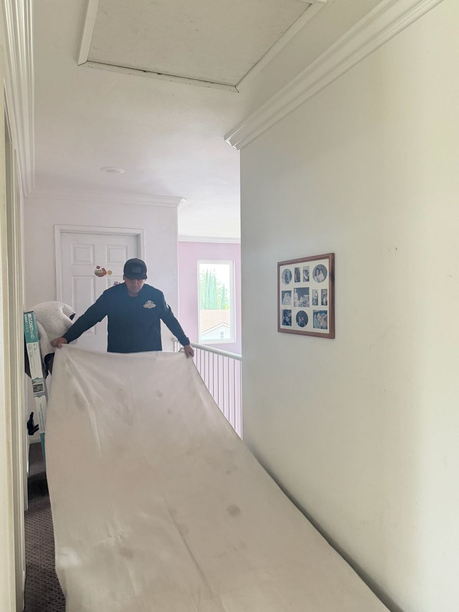 Drop cloth laid down in a hallway before work begins