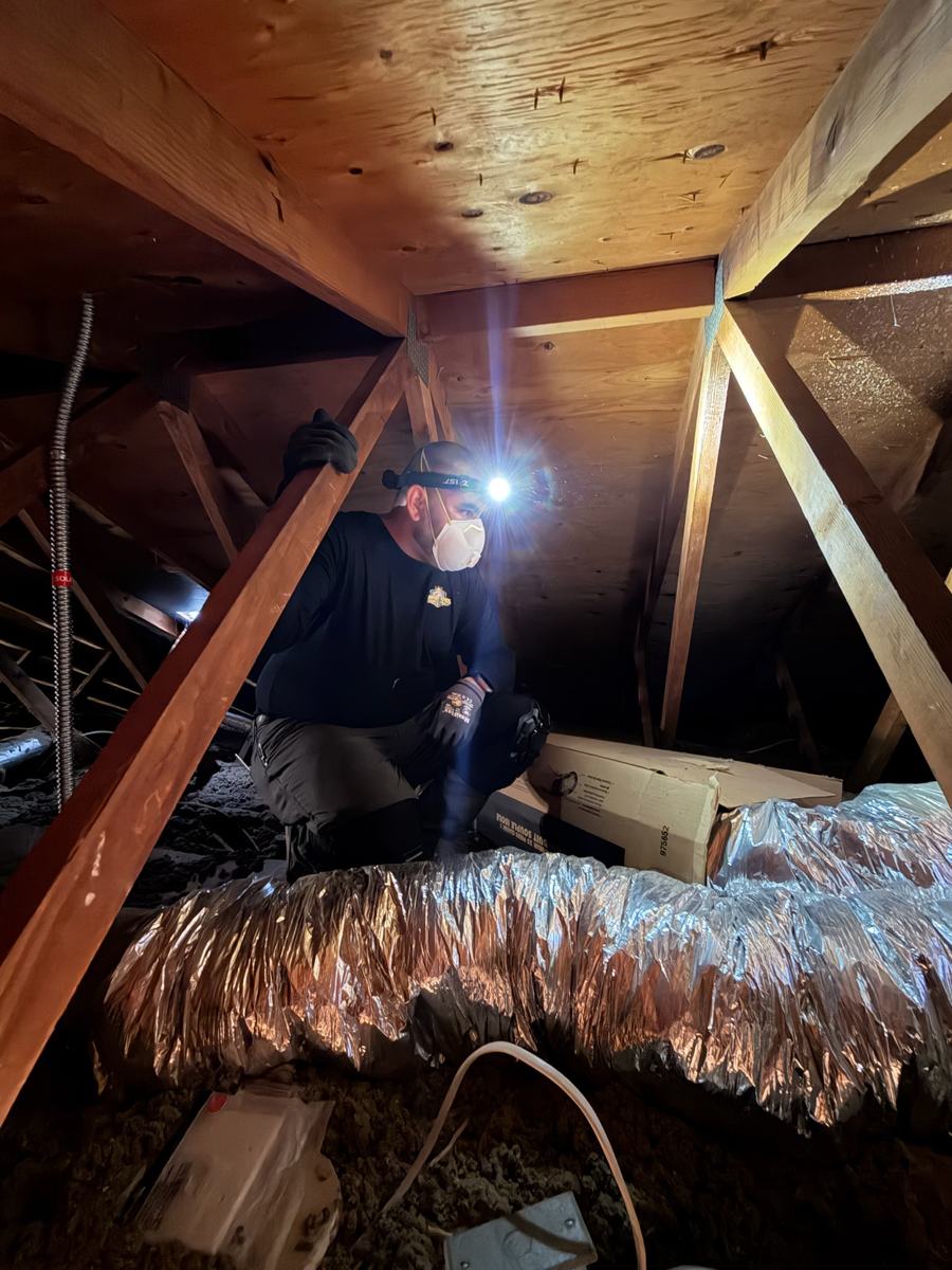 Technician working in a Poway attic